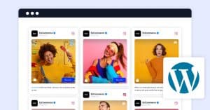 embed Instagram Feed to WordPress Website